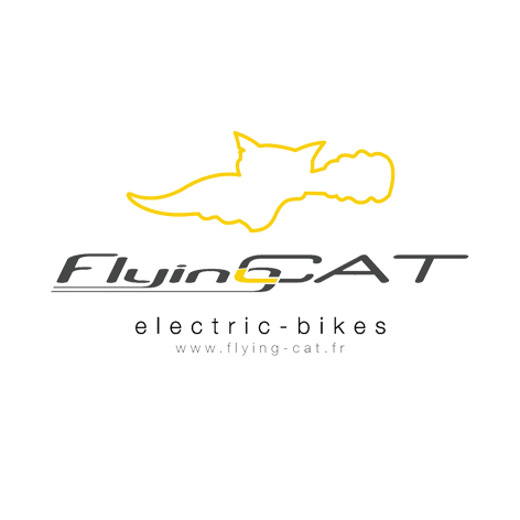 Logo FLYING CAT